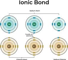Ionic Bond Formation Design Illustration vector