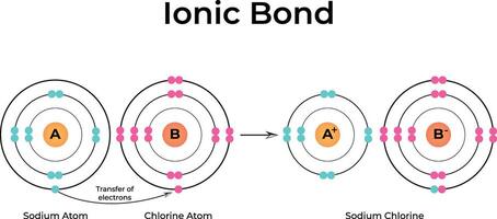 Ionic Bond Formation Colorful Design Illustration vector