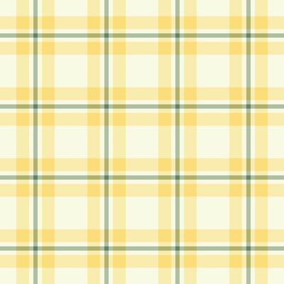 Outline textile tartan plaid, primary fabric texture background. Gift paper pattern check seamless in old lace and yellow colors.