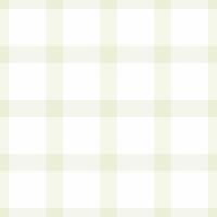 Elegant pale green and white gingham check pattern. Perfect for backgrounds, textiles, stationery, or website design. Clean, simple, and versatile design for a fresh, modern aesthetic. vector