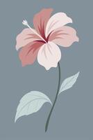 Elegant Pink Hibiscus Flower, Soft Hues, Stem, Leaves, Botanical Illustration vector