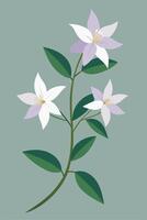 Elegant Lavender White Flowers Branch Botanical Illustration Design vector