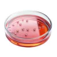 Liquid in Petri Dish on Transparent Background png