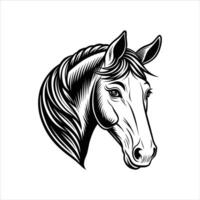 Horse Head Closeup vector