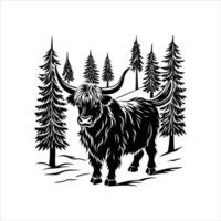 Walking highland cattle vector