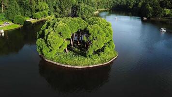 People ride a catamarans and boats around the green island in the pond in the city parkland. Footage. Aerial view of summer nature with a beautiful pond and green trees. video