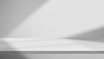 White Background,Studio wall grey with shadow on 3d floor podium for Product Presentaion,Kitchen room with spring bright light. minimal backdrop display mock up vector