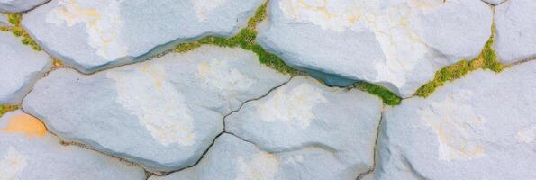 Cracked gray stones with green moss in natural abstract pattern photo