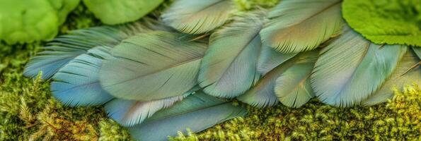 Close-up of colorful feathers on mossy surface creating a natural texture photo