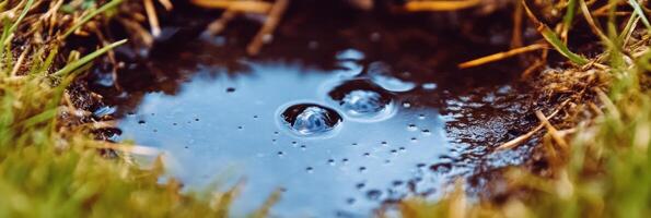 Close-up of water puddle with bubbles on grass surface photo