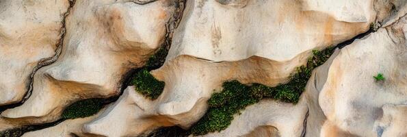 Eroded rock surface with pockets of green moss in natural formation photo