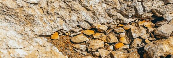 Rock formation with fossilized shells in rugged terrain capturing geological beauty photo