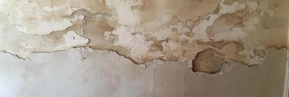 Peeling paint and water damage on an aged wall in old building photo