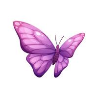 Purple butterfly on white background. Colorful winged insect, moth. isolated element vector