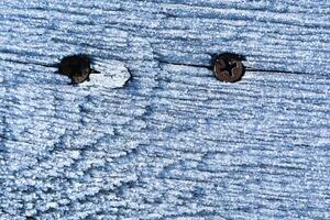 Rusty Nails Positioned on a Weathered and Worn Out Wooden Surface with Distinct Character photo
