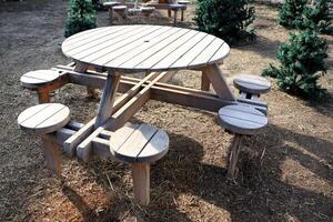 Introducing a stylish circular picnic table designed specifically for outdoor gatherings and events photo