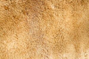 A Warm Textured Fleece Background Ideal for Creating Cozy and Inviting Design Projects photo