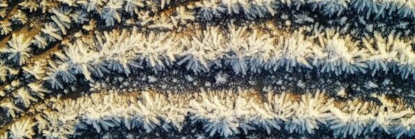 Frosty pattern on a windowpane featuring intricate ice crystals and winter texture photo