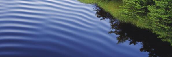 Tranquil rippling water surface with lush greenery reflection at riverbank photo