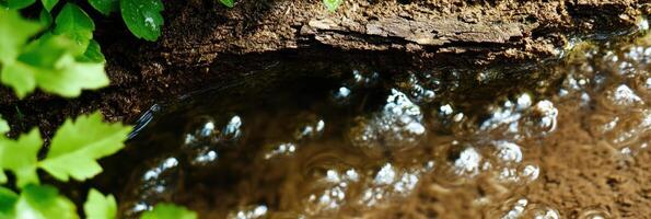 Close-up view of bubbling stream water flowing over rocks and leaves in nature photo