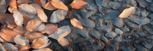 Autumn leaves on textured ground highlight seasonal change in nature photo