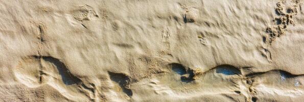 Sandy beach with footprints capturing nature's textured patterns photo