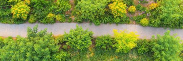 Aerial view of lush green park path with vibrant foliage and yellow flowers photo