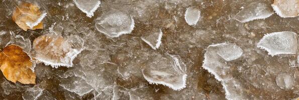Frozen leaves and ice patterns on a cold winter ground surface photo