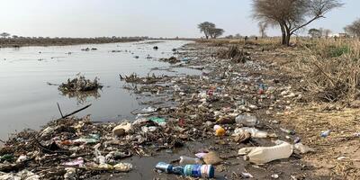 Pollution and waste accumulation along a riverbank in nature landscape photo