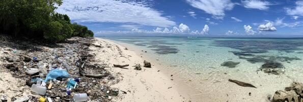 Coastal pollution, litter and debris along a pristine tropical beachfront photo