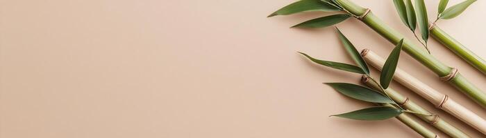 Bamboo stalks in soft green tones with natural knots and leaves rest on a light beige gradient backdrop, creating a peaceful, organic atmosphere perfect for text overlay photo