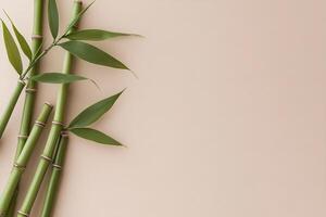 Bamboo stalks in soft green tones are arranged elegantly on a light beige gradient background. The natural knots and leaves create an organic, peaceful vibe, perfect for text overlay photo