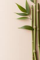 Soft green bamboo stalks with natural knots and leaves are arranged in a minimalist style on a light beige background, creating a serene and organic ambiance perfect for text overlay photo