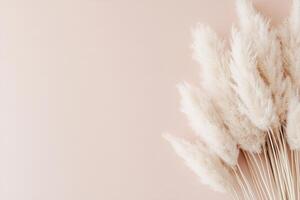 Tall pampas grass in creamy shades stands gracefully against a muted pastel backdrop, perfect for adding a touch of bohemian elegance to any space photo