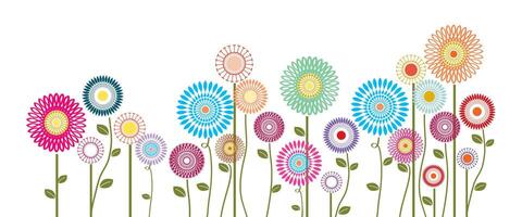 Collection of spring colorful flower elements on white background vector