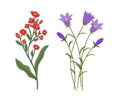 Set with various flat design flowers on white colour vector