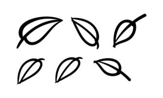 Simple linear leaves of trees and plants. Elements for eco friendly and bio logo, vegan. vector