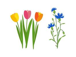 Set with various flat design flowers vector
