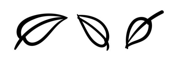 Simple linear leaves of trees and plants. Elements for eco friendly and bio logo. vector