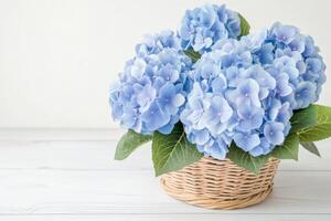 Delicate blue hydrangeas elegantly arranged in a rustic basket on a wooden surface with soft natural light creating a peaceful atmosphere photo