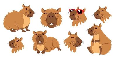 Cute capybara set. Various postures and expressions, white background. Funny flat animal collection. Hand drawn capibara isolated print design for sticker, postcard, tshirt. vector
