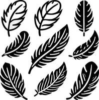 Feather icon set. Collection of black feathe on isolated background. Minimalist illustration. vector