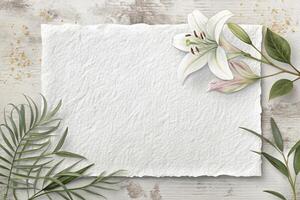 White Textured Art Paper Surface photo