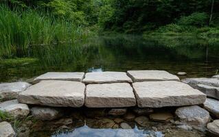Stone pathway over calm water in a lush forest photo