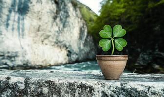 Four leaf clover in a pot on a rock by a river photo