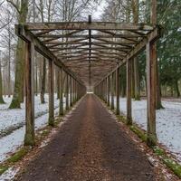 Wooden pergola pathway through winter trees photo