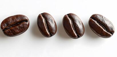 Four Roasted Coffee Beans Arranged In A Row photo