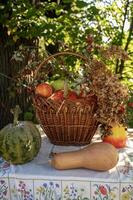 table and basket with autumn harvest. pumpkins are lying near the basket. one is round and oblong. the table is covered with a tablecloth with hand embroidery branches with red berries are around. photo