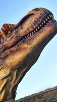 A close up of a dinosaur. High quality close up of dinosaur face. tyrannosaurus looking up at sky. photo has vertical orientationphoto,