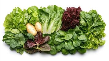 Fresh green salad ingredients including lettuce and potatoes photo